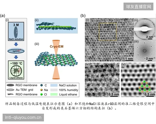 在超过40℃或低于-10℃的环境下，这些精密聚合物卡槽的释放性能是否依然可靠？